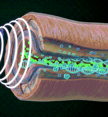 Acoustic pulses boosting blood flow